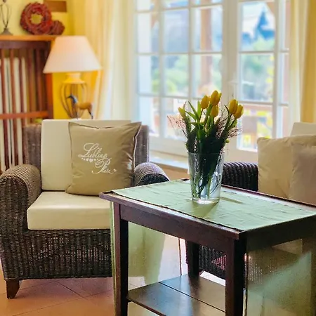 Schultheiss 公寓 *