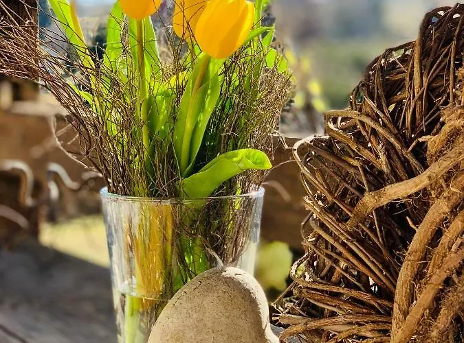 Schultheiss Apartmán *